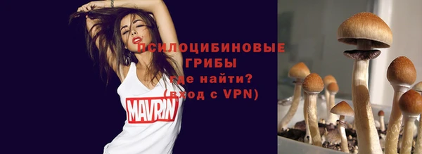 прущие крисы Баксан