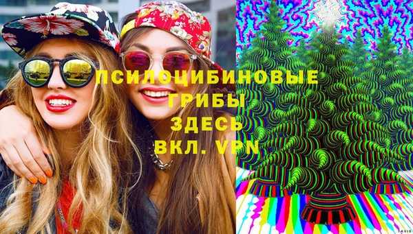 spice Балабаново