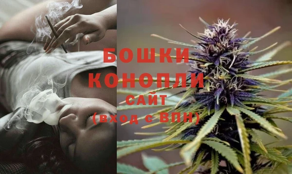 mdpv Снежногорск