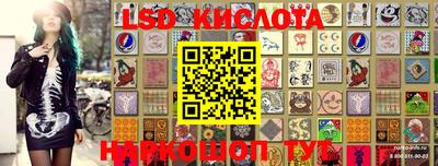 молекула духа Кандалакша