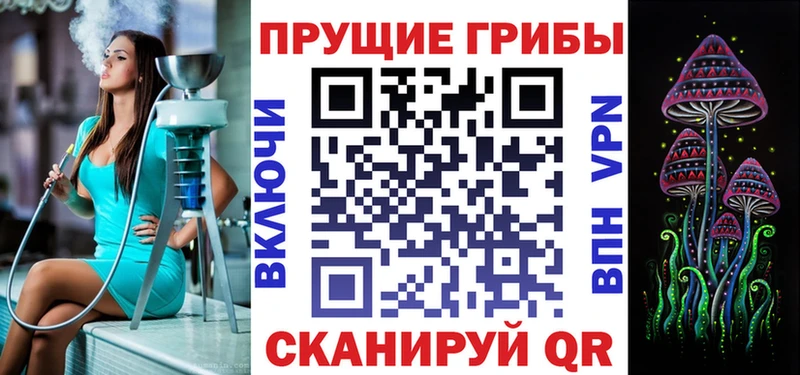 площадка состав  Кушва  Галлюциногенные грибы Psilocybe 