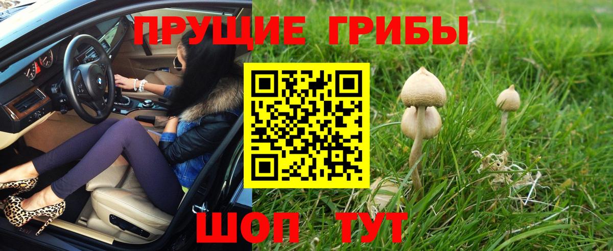 Галлюциногенные грибы GOLDEN TEACHER  Вход с VPN  Псилоцибиновые грибы мухоморы  Кушва 